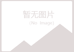 巫山县从彤服务有限公司